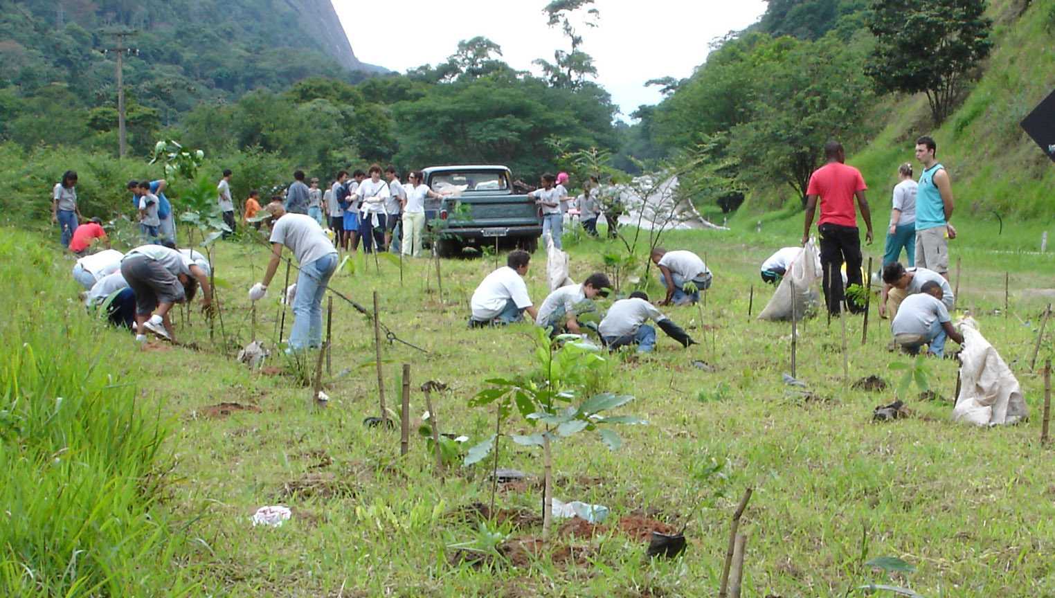 KIds Planting 06.jpg