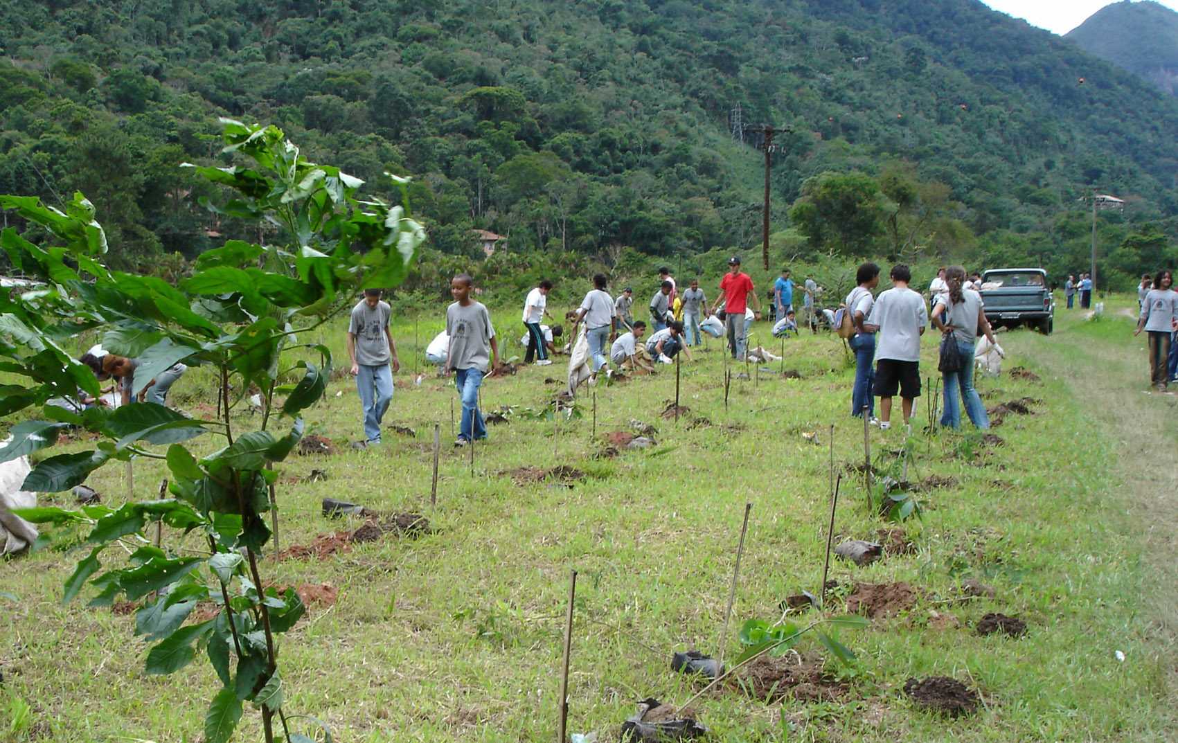 KIds Planting 07.jpg